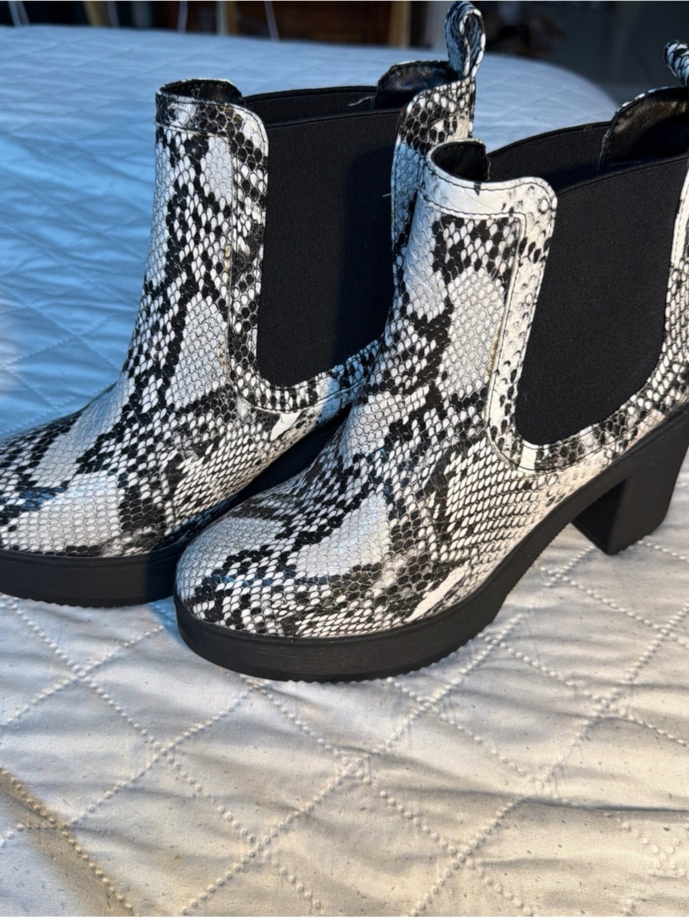Size 6.5 Women's Snake-Print Bootie - Black & White grey